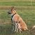 Darlene Symons's profile image