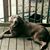 Dee Parker's profile image