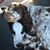 Suzette Owen's profile image