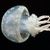 Russell McGonagle's profile image