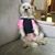 Mandy Gretencord's profile image