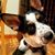 Steven Dzilvelis's profile image
