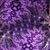 Brooklyn Bellflower's profile image