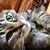 Jessie Perkins's profile image