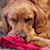 Marc Delhaye's profile image