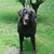Judy Squires Gleason's profile image