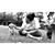 Tonja Harward's profile image
