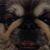 Joe E. Miller's profile image
