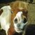 Therese Moore's profile image