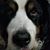 Sharron Ersch Manuel's profile image