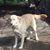 Gwen Denise Daugherty Combs's profile image
