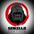 Alessio Trabelsi's profile image