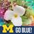Sandee Cooper's profile image