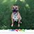 Dorothy Kearns Toscano's profile image