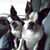 Maryanne Smith's profile image
