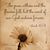 Karen Velasquez's profile image