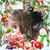 Carl Bryant's profile image