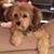 Patricia Skewes's profile image