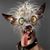 John Whittamore's profile image