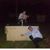 Brandon Kougher's profile image