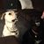 Wendy Becker's profile image
