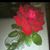 Lunita Gutierrez's profile image