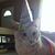Sebastian Fritsche's profile image
