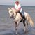 Iris Hauenstein's profile image