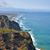Cheryl Hagerman's profile image