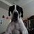 Wendy Loftus's profile image