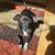 Kathi Cain's profile image