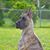 Janis Steele Snyder's profile image