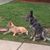 Sharon Kimmel Wingard's profile image