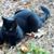 Ernest Rille's profile image