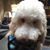 Margie Shelton's profile image