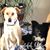 Lori Enzenberger's profile image
