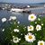 Stephanie Carlson's profile image