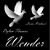 Jason Wender's profile image
