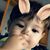 Christy Bean Eib's profile image