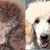 Judith Millman's profile image