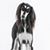 Lauren Westover's profile image