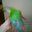 Chelsey Richey's profile image