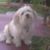 Kristie Casey's profile image