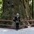 Kathy Chauppetta's profile image