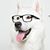 Chun-Min Weng's profile image