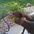 Michael Shafer's profile image