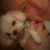 George Buzzie Bogart's profile image