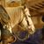 Ken Erickson's profile image
