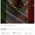 Miguel Cruz's profile image