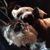 Sheryl Johnson's profile image